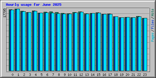 Hourly usage for June 2025